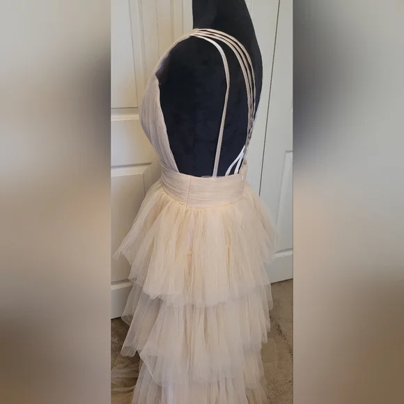 Elegant Cream Layered Tulle Evening Gown - Picture 14 of 16